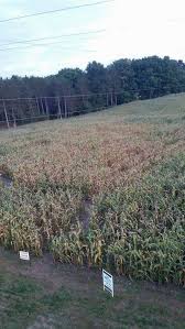 We did not find results for: The 20 Best Biggest And Scariest Michigan Corn Mazes To Get Lost In Mlive Com