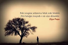 ziya pasa sozleri guzel sozler guzel soz ozlu sozler ayrilik sozleri