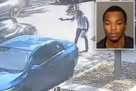 Trail of death, destruction allegedly left by members of NYC's 'Hoolies'  gang