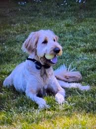 Profile for BeautyWithin