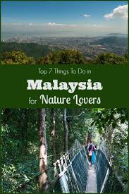 Our list of 16 things to do in malaysia will help show you that it is indeed worth visiting. The Top 25 Things To Do In Malaysia For Nature Lovers Malaysia Reise Asienreisen Reiseideen