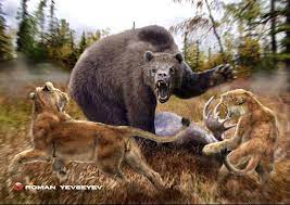 Two Pleistocene American Lions Panthera Leo Atrox Battle A Short Faced Bear Arctodus Simus The Extinc Short Faced Bear Extinct Animals Prehistoric Animals