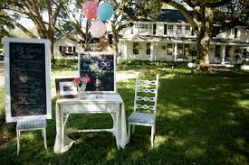 Outdoor decorations for gender reveal party. Gender Reveal Party On The Lawn Project Nursery