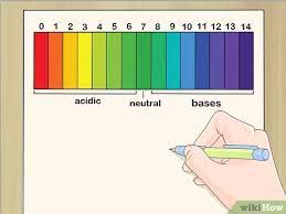 Have students draw and label the ph scale without looking at their notes. How To Explain Acids And Bases To Kids 10 Steps With Pictures