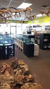 Maybe you would like to learn more about one of these? Las Vegas Fish Reptiles Home Facebook