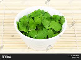 It is not known from the wild, but is widely cultivated, and some genotypes of coriander form several basal leaves, others start stem elongation immediately or. Fresh Coriander Leaves Image Photo Free Trial Bigstock