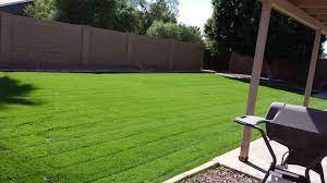 Bv lawn care 21269 e lords way queen creek az 85142. Residential Lawn Care And Tree Trimming