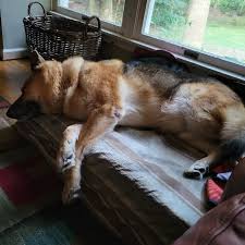 Martha Lindsey Paschal (@martha.paschal) • Threads, Say more