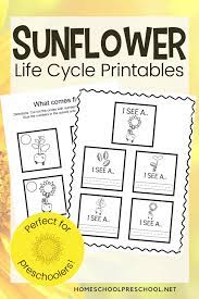 Check spelling or type a new query. Free Printable Life Cycle Of A Sunflower Worksheets