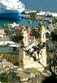 Bastia Corse France Bastia Corse