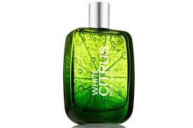 Furthermore, best fruity perfume has got more fruity, citrusy notes along with a floral and woody touch. 15 Best Fresh Citrus Colognes Fragrances For Men Man Of Many