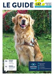 Famille d'accueil chien guide d'aveugle bordeaux. Home Chiens Guides Du Grand Sud Ouest Association Chien Guide