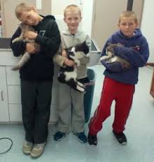 At affordable animal hospital silver lake, we care about our animal patients and want to help them live long, healthy, happy lives. Silver Lake Animal Health Center Locally Owned Veterinary Clinic And Pet Supply