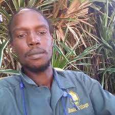 Stream Mario Hamilton 2 music