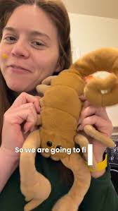 Here’s how I wash my “unwashable” stuffed animals 🧸 , #stuffedanimal #wash  #laundry #stuffies #howto