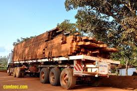 Obeche Wood For Sale Africa Find Top Quality Wood Here Africa Wood For Sale Equatorial