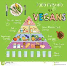 infographic chart illustration of a food pyramid for