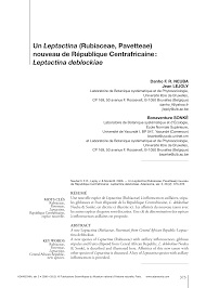 Image result for Leptactina platyphylla