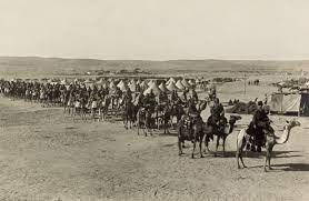 'forged letters have been uncovered which say the passenger's coming back for an emergency operation or other emergency treatment. Camel Cavalry Wikipedia