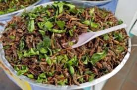 Ce inseamna cand visezi par care creste constant: Ce InseamnÄƒ Cand Visezi Viermi