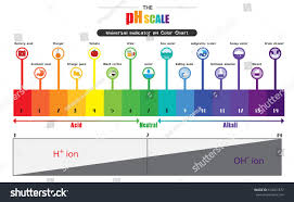 The Ph Scale Universal Indicator Ph Color Chart Diagram Acidic Alkaline Values Common Substances Vector Illustration Flat I Flat Design Icons Color Chart Chart