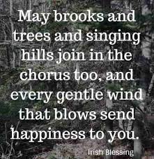 The irish gift house offers irish kitchen blessing gifts that range from tea pots, cups and mugs to linens, platters and trivets. 82 Irish Blessing Quotes To Share And Bless Others