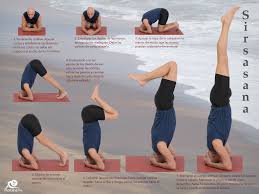 Sirsasana Sesiones De Ejercicio Yoga Para La Flexibilidad Yoga Relajante