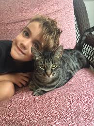 Where to find the new cat named Sparkle