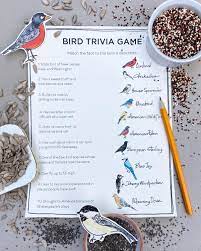Check out these 28 trivia famous animal quiz questions and answers to see how much you know. Bird Trivia Games Camp Darcy Darcy Miller Designs