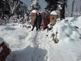 Image result for patnitop images