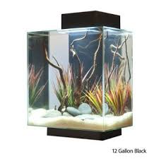 Feng Shui Water How To Attract Good Energies Aquarium Fish Tank Aquarium Kit Tropical Fish Aquarium