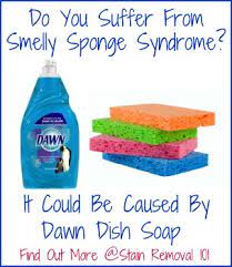 But that's far from the only smelly compound ants produce. Does Using Dawn Cause Smelly Sponges