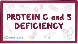 Image result for Protein C Deficiency