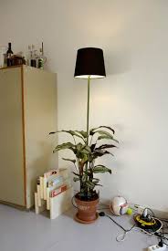 Plant Lamps Decor Lamp Home Decor Inspiration