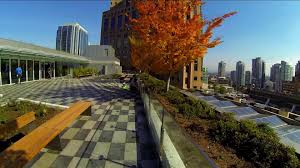 The rooftop garden was designed by vancouver landscape architect cornelia hahn oberlander. New Vancouver Public Library Rooftop Patio And Garden Now Open Urbanyvr
