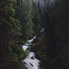 Nature Scenery Landscaping Near Me