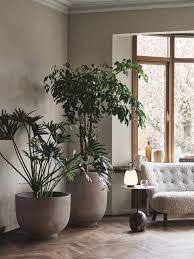 Jun 25, 2021 · l'arbre à chat vesper, avec deux niches confortables. Arbre D Interieur Tous Nos Conseils Marie Claire