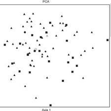 Image result for Faroa involucrata