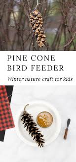 You can dip your pine cone but you may use a butter knife to spread it, so you have a bit more control. Pine Cone Bird Feeder Fireflies And Mud Pies