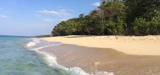 Check spelling or type a new query. Maguana Strand Cuba Vintage Vacation