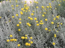 Pin Auf Garten