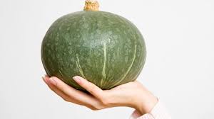 Kabocha La Courge Japonaise Qui Change De La Butternut Courge Potiron Vert Butternut