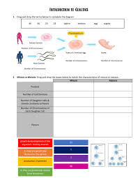 Pedigree charts are very important to many different fields of science. Intro To Genetics Worksheet