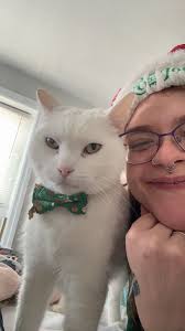 What is your soul animal?