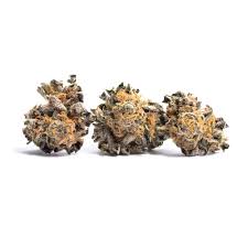 Genetics come from a cross between forum cut cookies, cinderella 99, and an og kush with chem . Animal Cookies Aka Animal Crackers Weed Strain Information Leafly