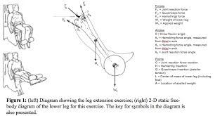 A free body diagram is a graphic, dematerialized, symbolic representation of the body (structure, element or segment of an element) in which all connecting pieces have been removed. A What Assumptions Went Into Simplifying The Leg E Chegg Com