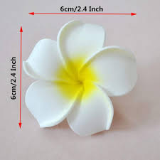 The entire library of our object mockups is at your disposal. Buy Healthcom 100 Pcs 2 4 Inch White Artificial Plumeria Rubra Hawaiian Flower Petals Hair Hat Wreath Floral Premium Hawaiian Foam Frangipani Flowers For Diy Home Beach Wedding Party Decoration Online In Canada B01dtu3tnm