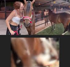 Downes Educational Solutions (@downes_robert)  Posts  X