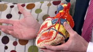 The link between hair loss and heart disease is clear. 6 Surprising Heart Disease Warning Signs And What To Do About Them Abc News