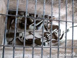 Kết quả hình ảnh cho tù côn đảo